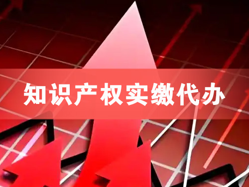 湘潭知识产权实缴资本代办
